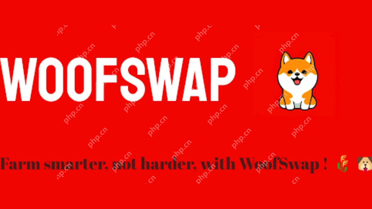 Shibarium Builder Spotlight：Woofswap用VE重塑DEX模子（3,3）