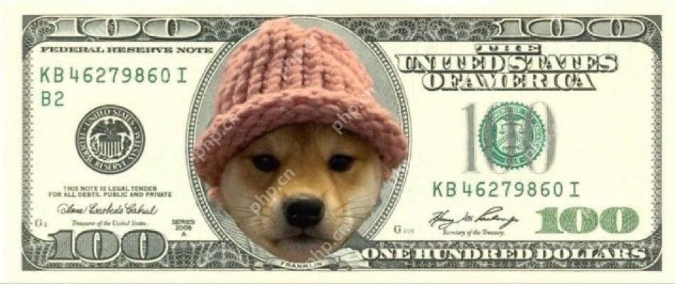 另一个爆炸性的加密公牛跑步正在进行中，索拉纳模因硬币再次领导集会。