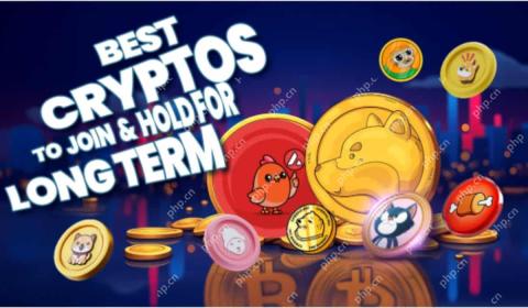 Troller Cat ($TCAT) Presale Launches May 2nd, 2025, at 6:00 PM UTC, Targeting the Next Meme Coin Sensation