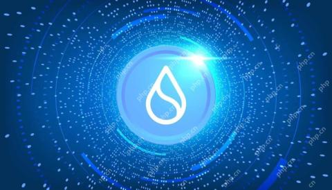 21SHARES SPOT SUI ETF 파일, SUI Network와 파트너