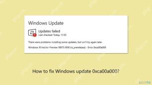 Wie repariere ich Windows -Update -Fehler 0xCA00A000?