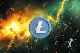 LTC飙升7％