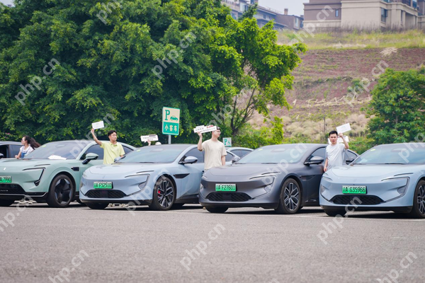 “宠客”出击！阿维塔志愿者免费接驳游客直达荣昌