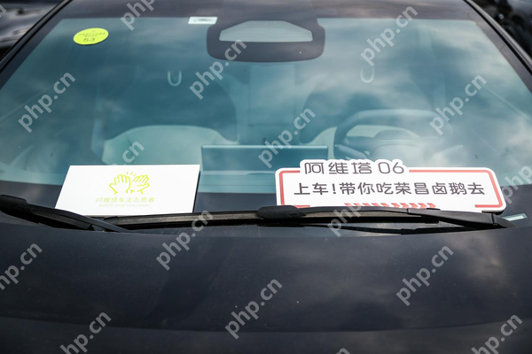 “宠客”出击！阿维塔志愿者免费接驳游客直达荣昌