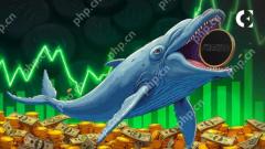 Paus crypto telah muncul sebagai peniaga terbaik sepanjang bulan lalu, menuai lebih daripada $ 9 juta dalam keuntungan yang direalisasikan di seluruh bakul 22 token.