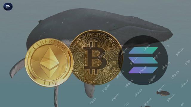 암호화 고래는 한 달 안에'Hodl-ing'Crypto 토큰으로부터 9 백만 달러 이상의 이익을 얻었습니다.