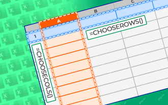 How to Use the CHOOSECOLS and CHOOSEROWS Functions in Excel to Extract Data