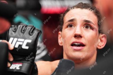 UFC Veteran Retires In The Octagon After Vicious TKO Loss