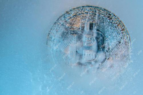 Bitcoin (BTC) Price Is Less Correlated To On-Chain Activity, Firm Alphractal Suggests