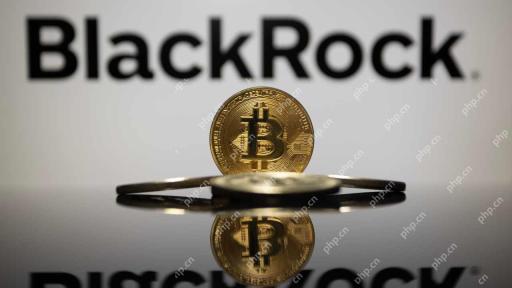 Blackrock Pushes Bitcoin Into Spotlight: Could Be Too Risky Not to Own Any in Today's Market
