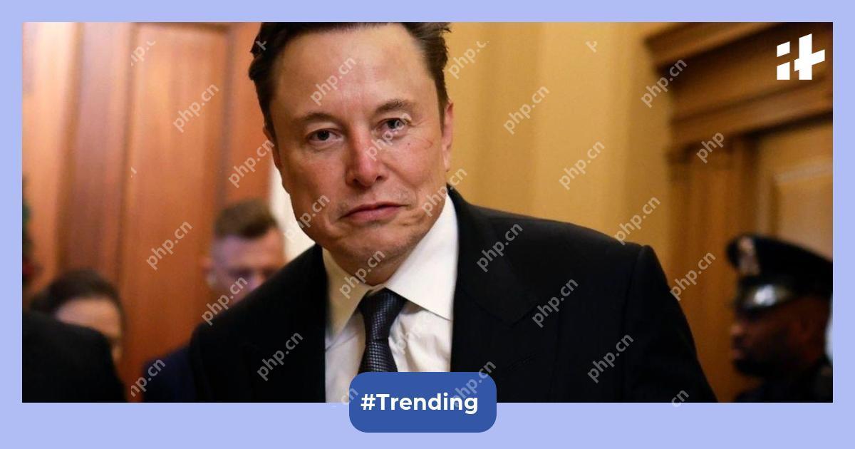 埃隆·马斯克（Elon Musk）将他的X显示名称更改为“ Grokon Rust”