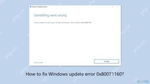So beheben Sie Windows -Update -Fehler 0x80071160?