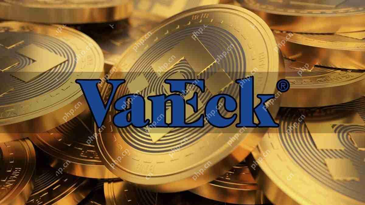 使用SEC的Vaneck文件啓動了BNB交換基金（ETF）。