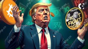 唐纳德·特朗普(Donald Trump)正在加倍支持加密货币