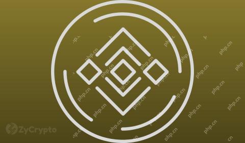 BNB Spot ETF Trust 용 Vaneck 파일