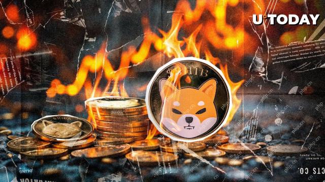 Shiba Inu (SHIB) team destroys millions of tokens in a massive burn