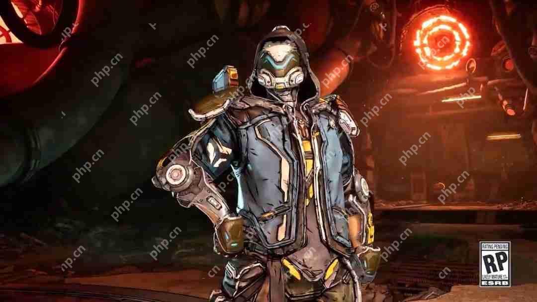 《无主之地4》秘藏猎人部分皮肤外观展示 熟悉的风格