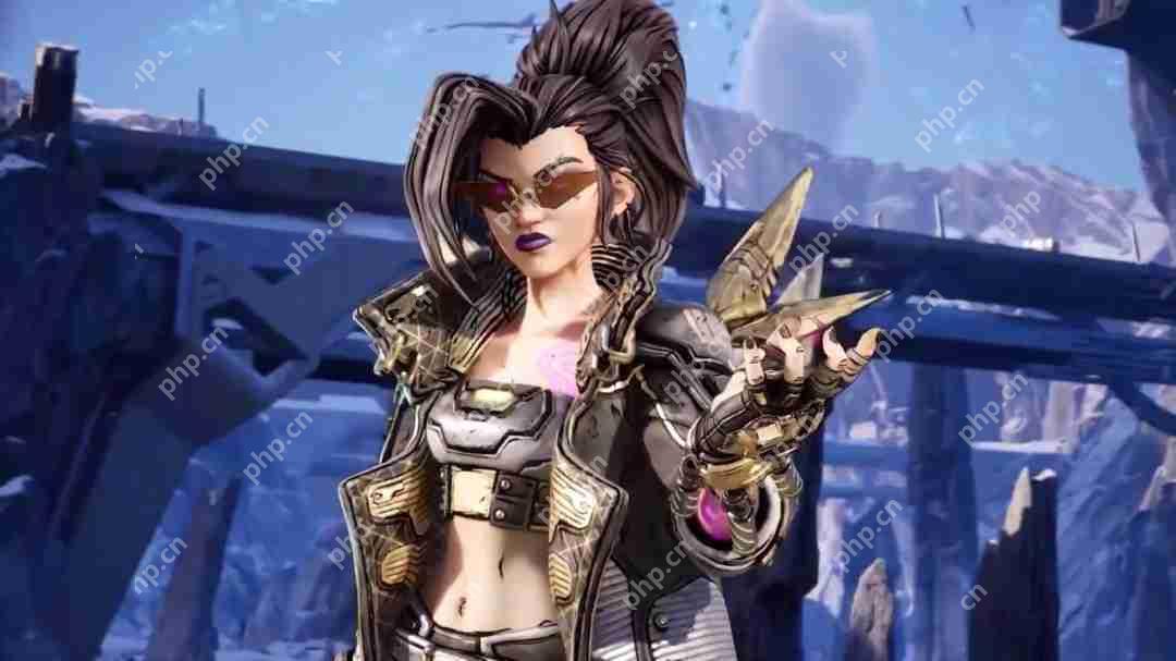 《无主之地4》秘藏猎人部分皮肤外观展示 熟悉的风格