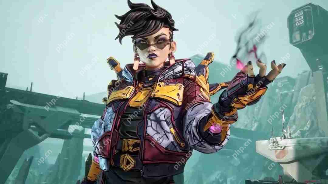 《无主之地4》秘藏猎人部分皮肤外观展示 熟悉的风格