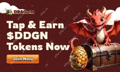 Dragoin（$ ddgn）是模因硬币的下一个演变