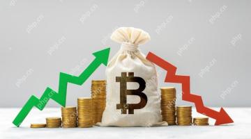 With the world's largest cryptocurrency in 2025