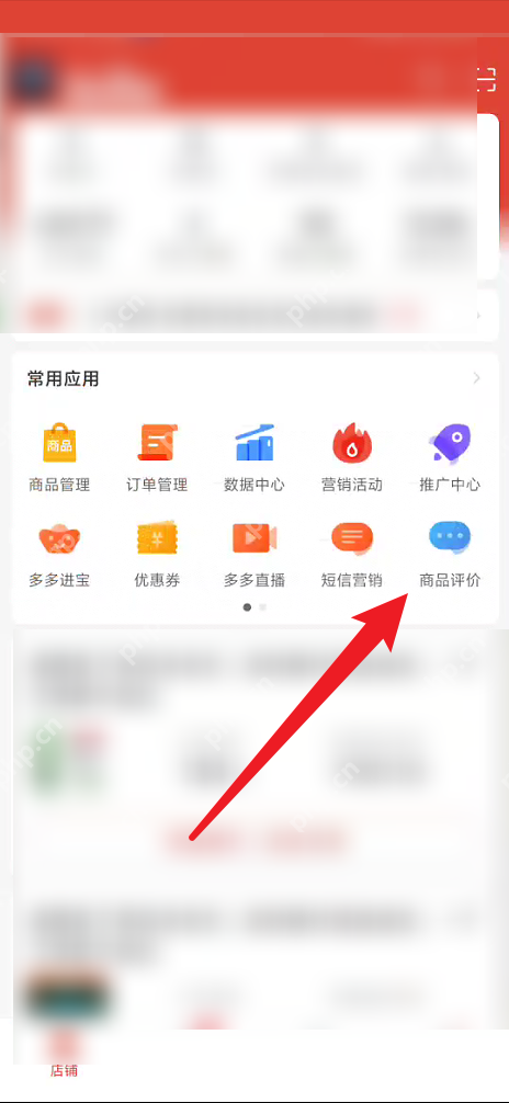 拼多多商家版评价总数在哪里看