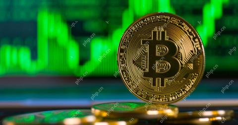 Bitcoin (BTC) remains in a technically critical zone controlled by short-term holders despite its recovery to nearly $98,000