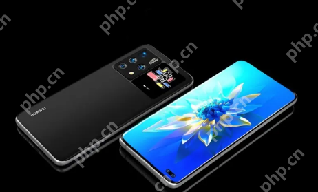 华为手机相机拍照翻译在哪