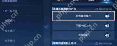 王者荣耀天赐语音包怎么得