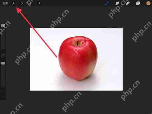 procreate怎么打字