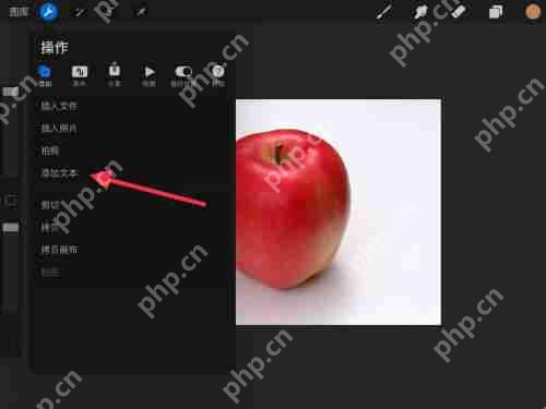procreate怎么打字