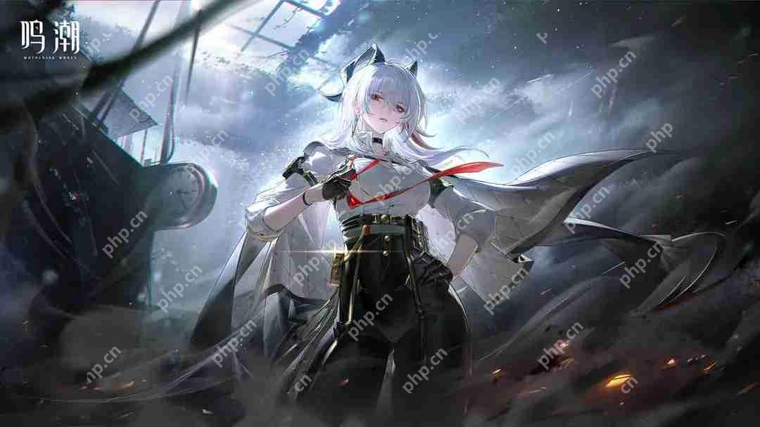 鸣潮v2.3最强角色赞妮一图流攻略