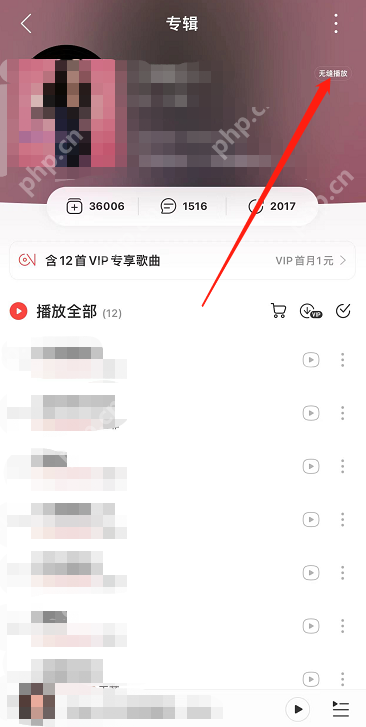 网易云音乐无缝播放怎么设置