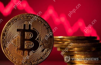코인 투자와 관련하여 2025 년 서울 머니 쇼에서 낙관론이 지배적이었습니다.