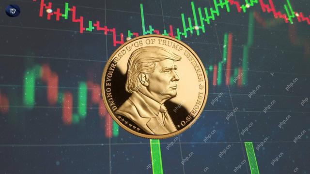 After Trump's Teases, Only 58 Wallets Holding the $TRUMP Token Made Money