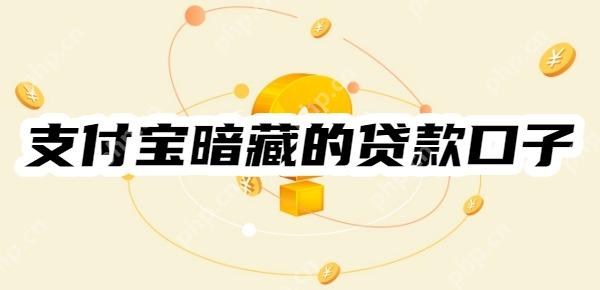 2025年支付宝暗藏的贷款口子：快来看看吧！不同类型的宝藏贷款