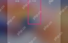 格子生成器下载教程
