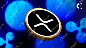 RLUSD的发布引发了关于XRP不断发展的角色的讨论