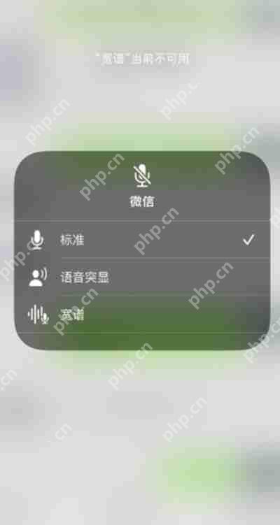 苹果怎么开启麦克风模式