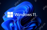 windows11视频增强怎么开启