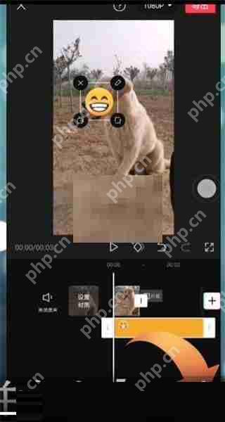 剪映贴纸跟随怎么设置
