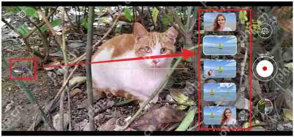 荣耀X40多镜录像怎么用