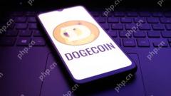 The Dogecoin price appears to be on a continued rebound