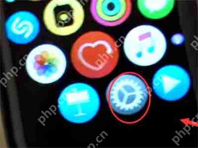 iWatch怎么关闭自动亮度