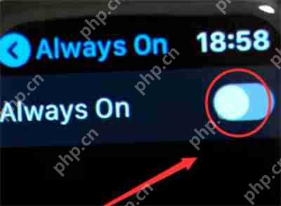iWatch怎么关闭自动亮度