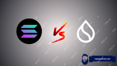 Sui vs Sol:今、あなたの1,000ドルに値するCryptoはどれですか?