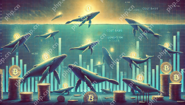 新的比特币鲸的成本基础约为91900美元