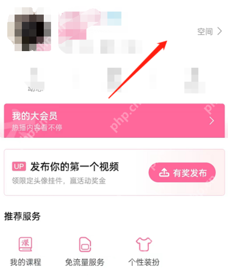 哔哩哔哩动态怎么置顶
