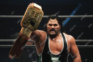 최고의 레슬러 WWE가 서명 한 적이없는 Backlash에 도착할 수 있습니다.
