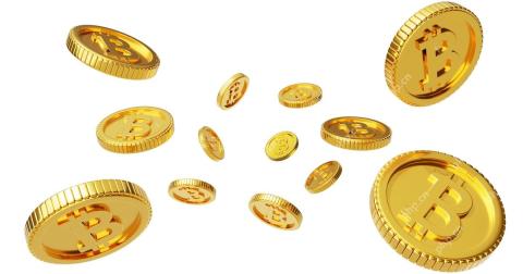 Over Half of Crypto Tokens Launched Since 2021 Have Failed, CoinGecko Reports